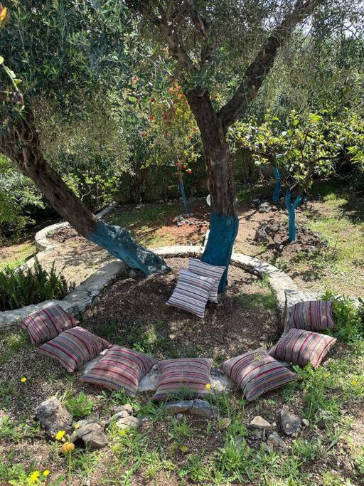 Mount Minis - Casa Bruno Villa Sivota  Luaran gambar