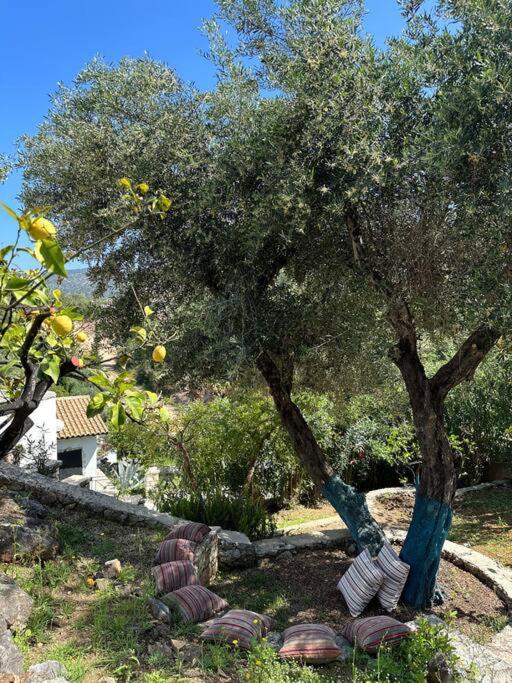 Mount Minis - Casa Bruno Villa Sivota  Luaran gambar